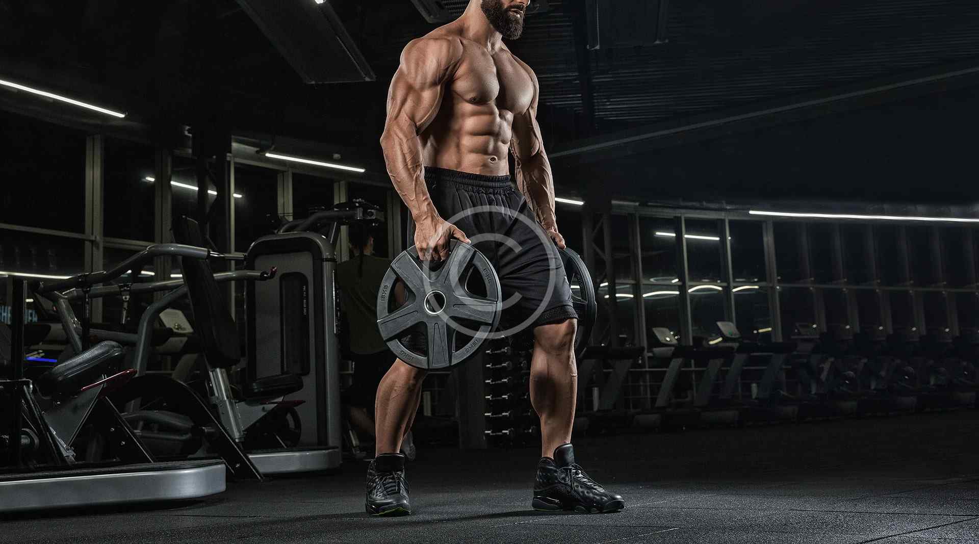 Muscle building
